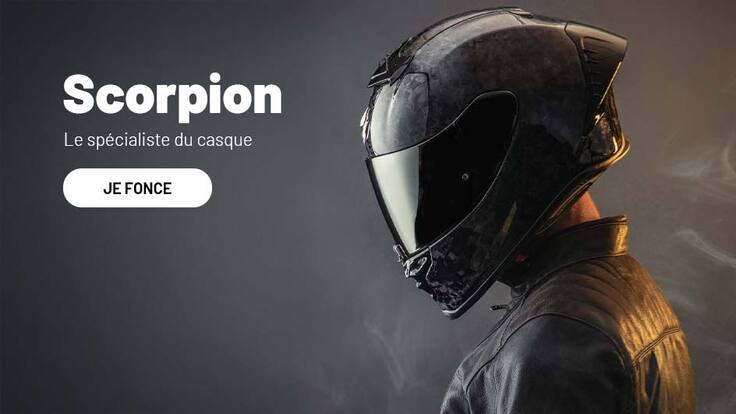 Scorpion