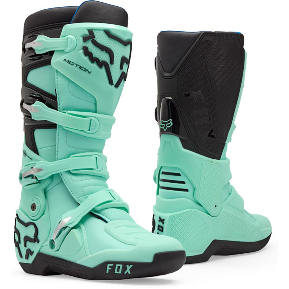Bottes Motion