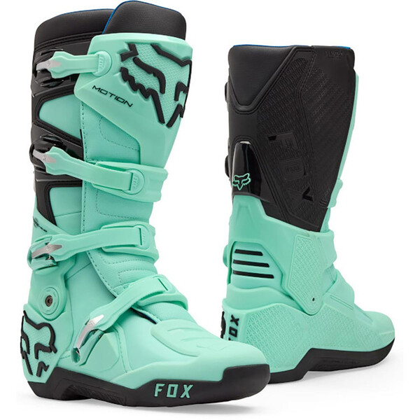 Bottes Motion