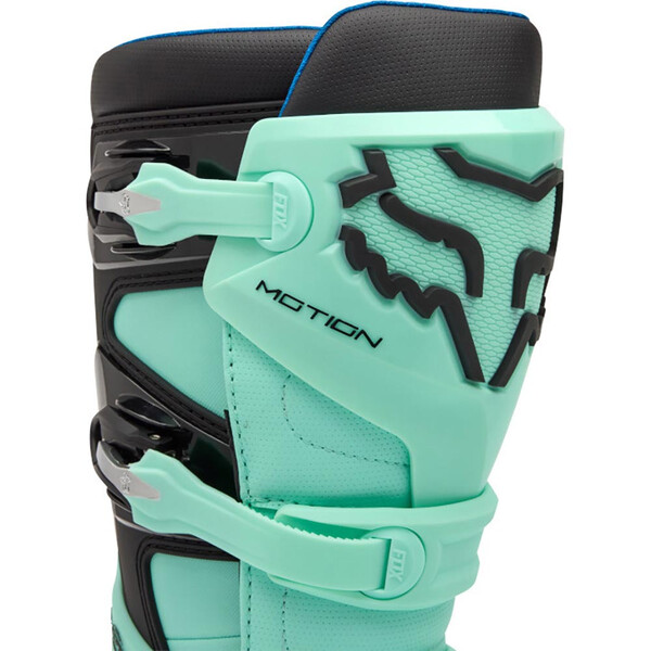 Bottes Motion